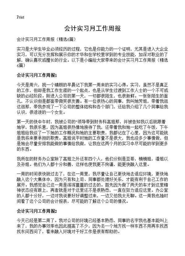 会计实习月工作周报6篇