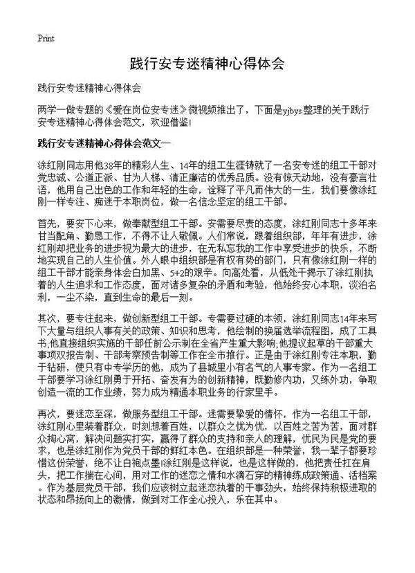 践行安专迷精神心得体会