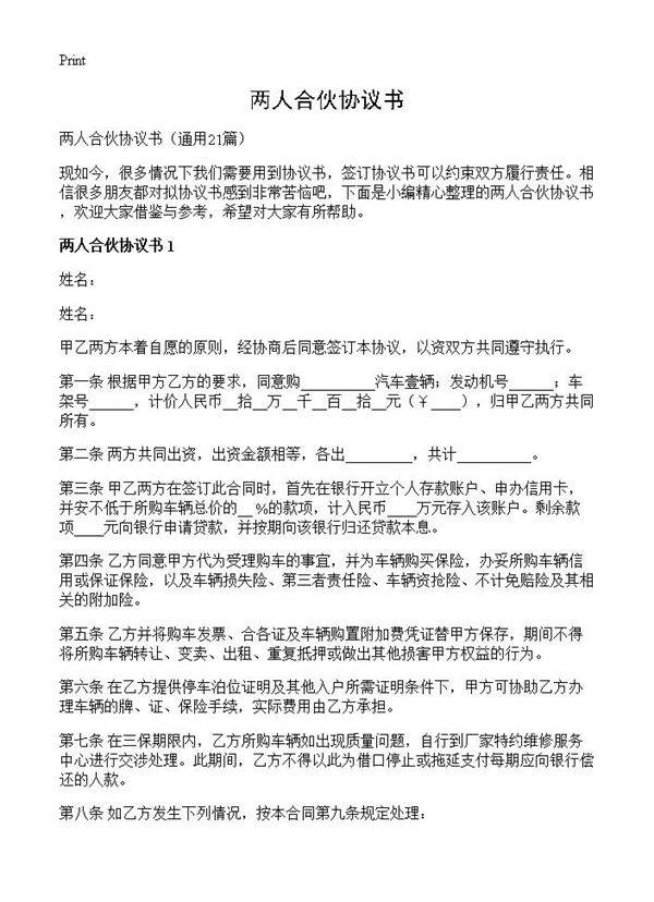 两人合伙协议书21篇