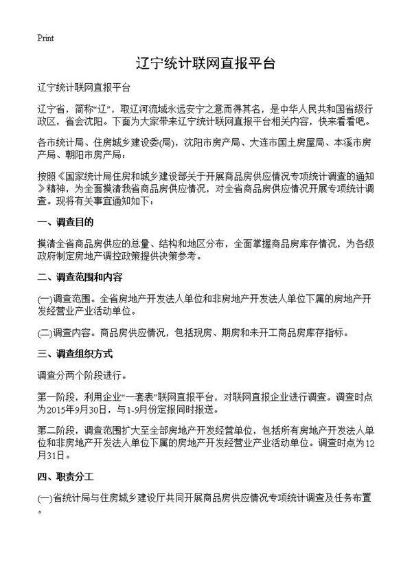 辽宁统计联网直报平台