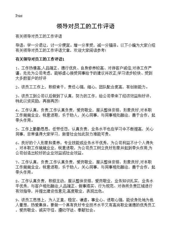 领导对员工的工作评语