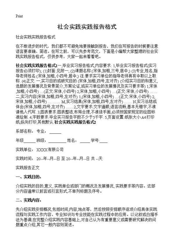 社会实践实践报告格式