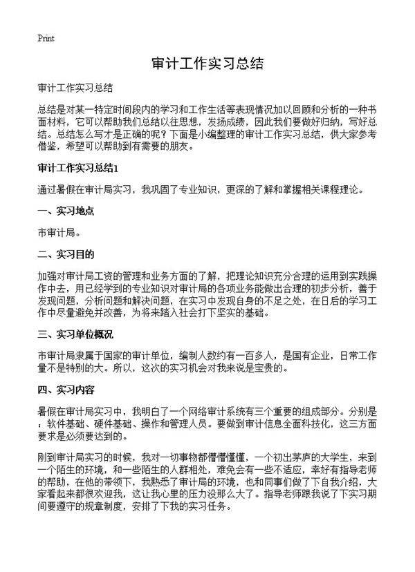 审计工作实习总结