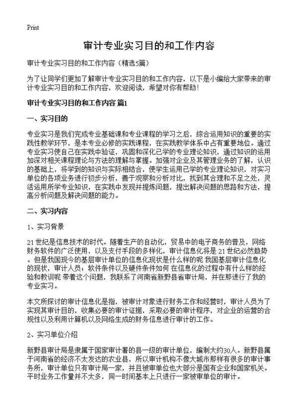审计专业实习目的和工作内容5篇