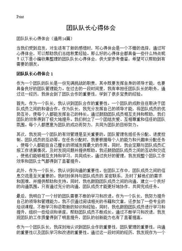 团队队长心得体会14篇