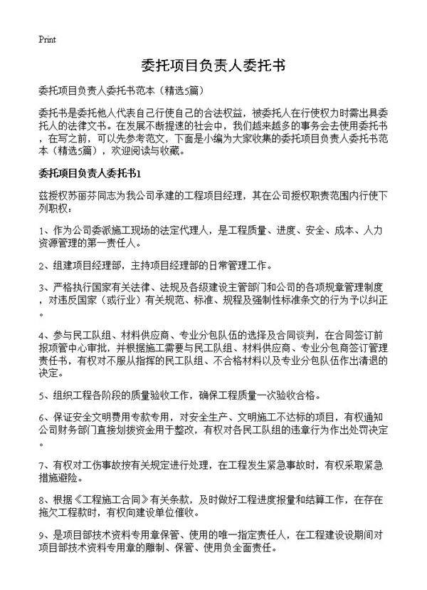 委托项目负责人委托书5篇