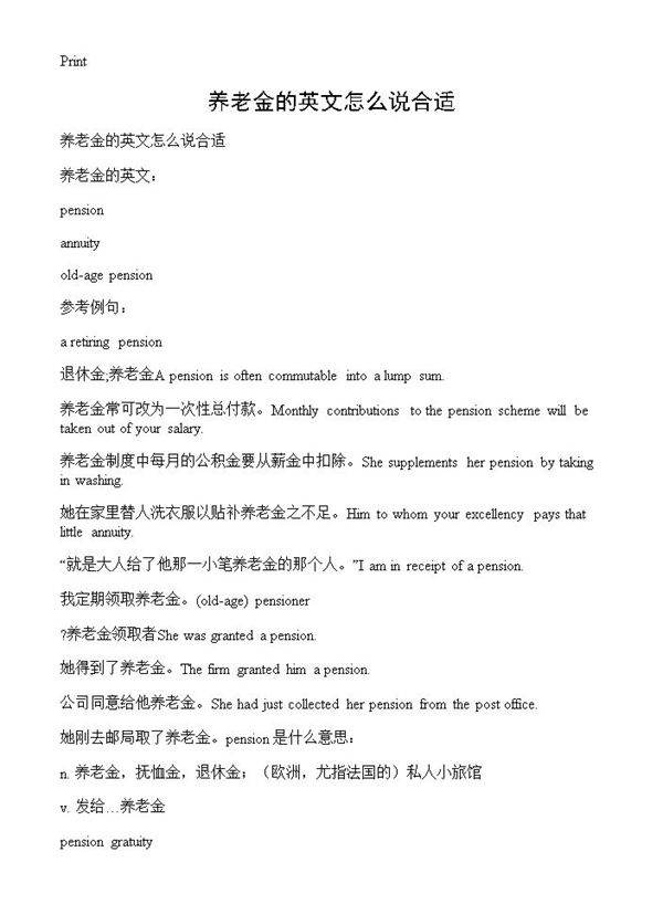 养老金的英文怎么说合适
