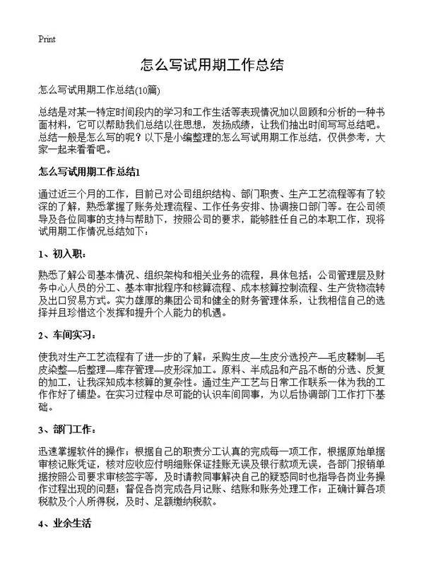 怎么写试用期工作总结10篇