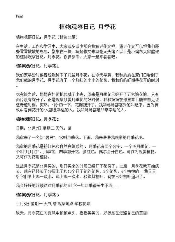植物观察日记 月季花22篇