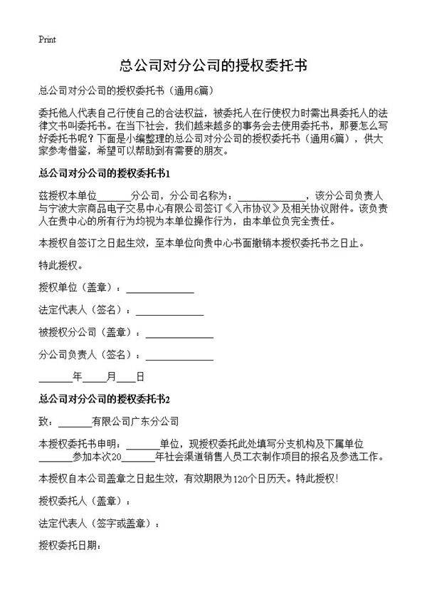 总公司对分公司的授权委托书6篇