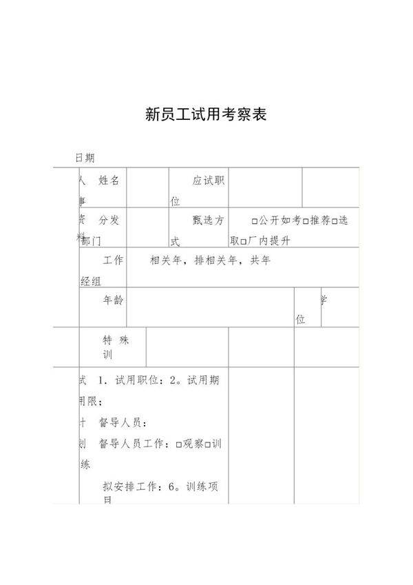 新员工试用考察表