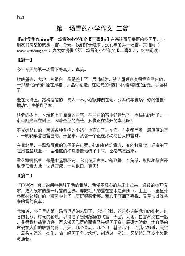 第一场雪的小学作文