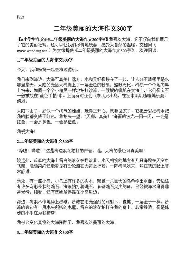 二年级美丽的大海作文300字