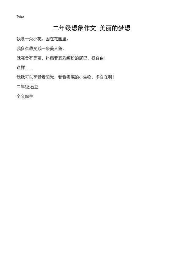 二年级想象作文 美丽的梦想