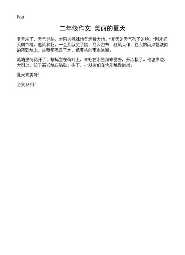 二年级作文 美丽的夏天