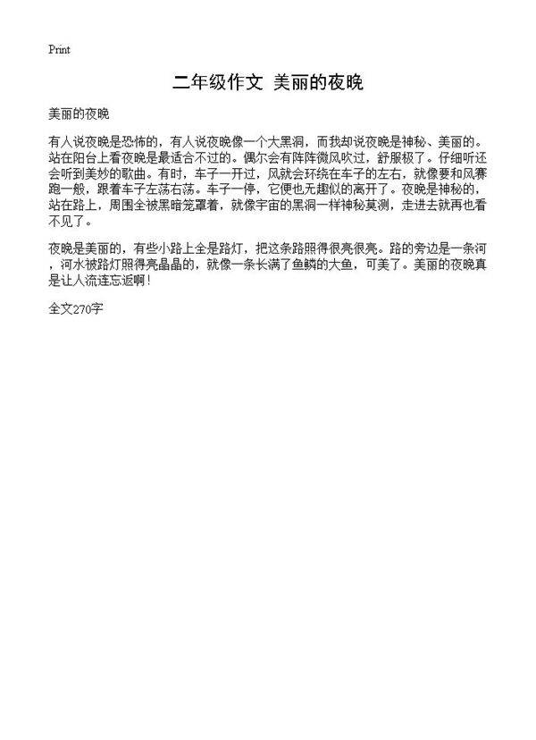 二年级作文 美丽的夜晚