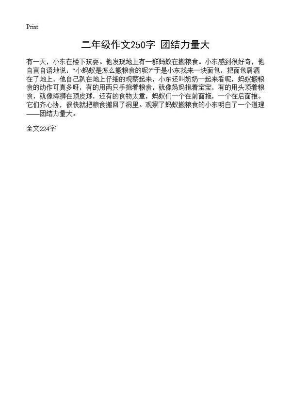 二年级作文250字 团结力量大