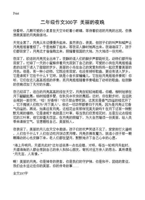二年级作文300字 美丽的夜晚