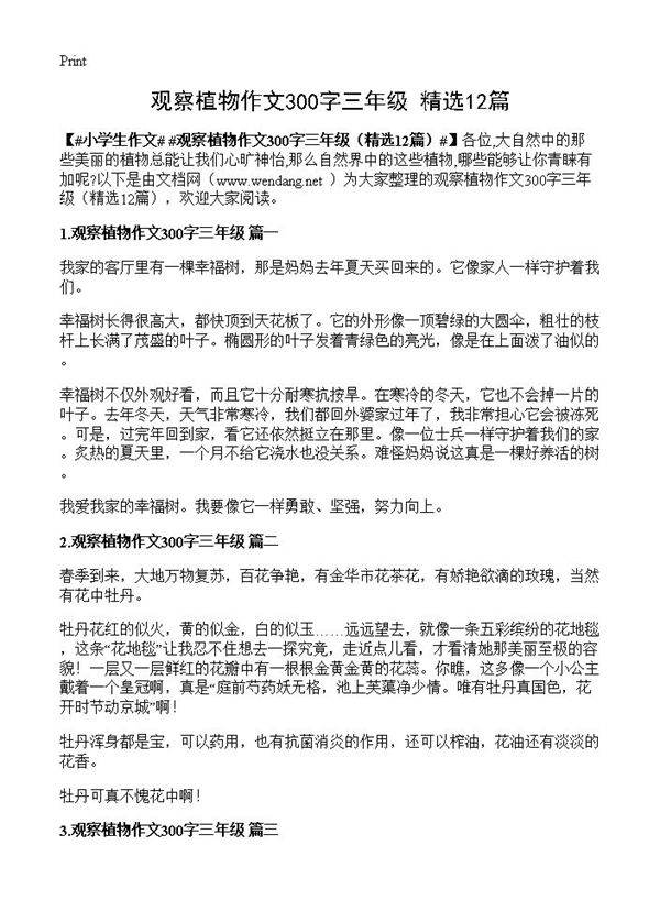 观察植物作文300字三年级12篇