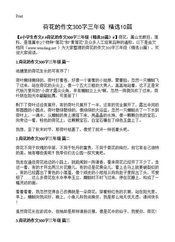 荷花的作文300字三年级10篇