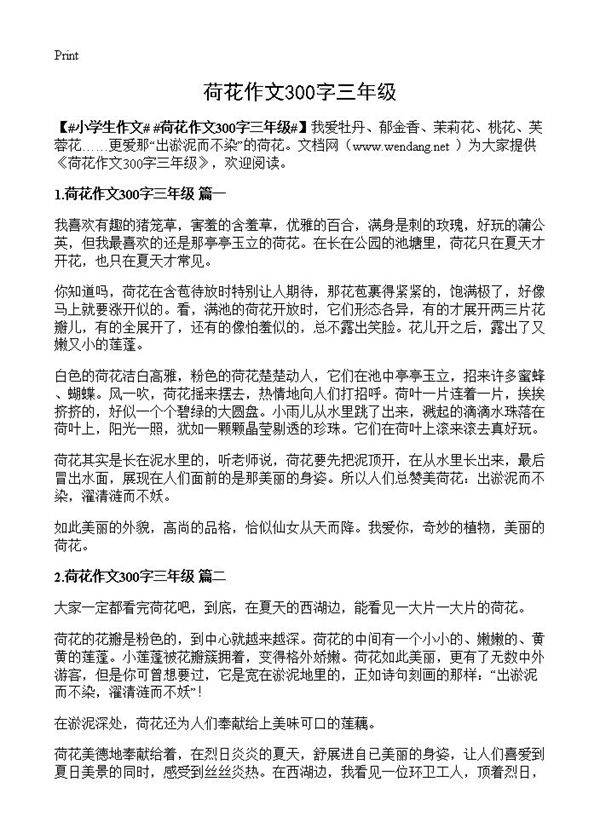 荷花作文300字三年级