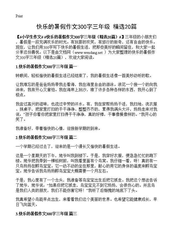 快乐的暑假作文300字三年级20篇