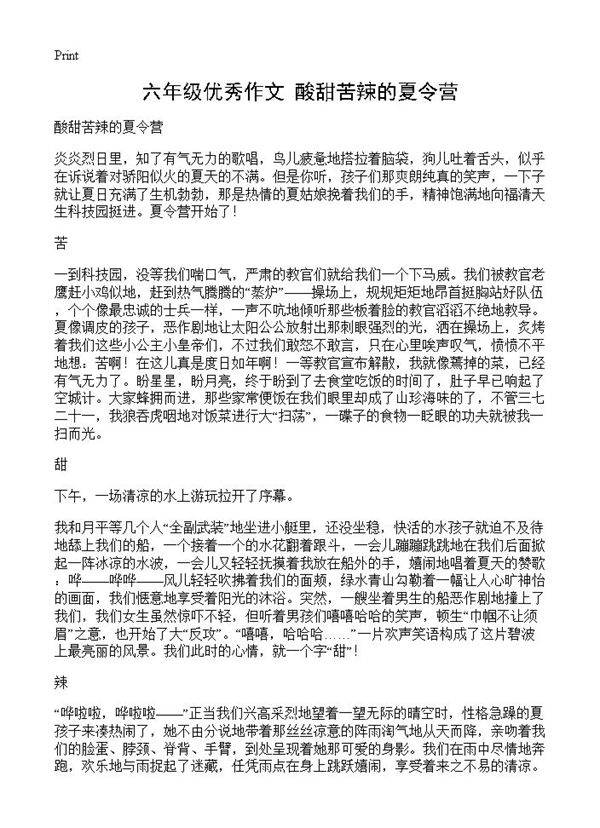 六年级优秀作文 酸甜苦辣的夏令营
