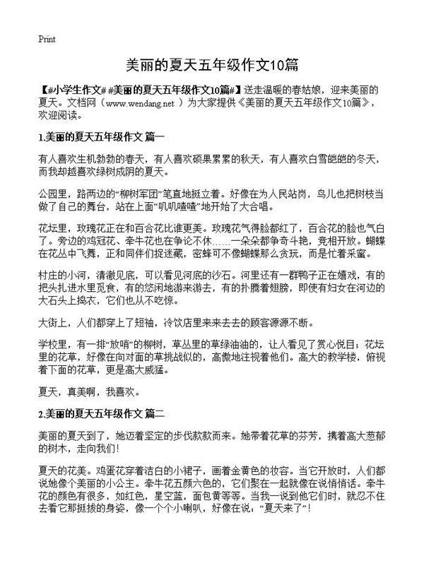 美丽的夏天五年级作文10篇