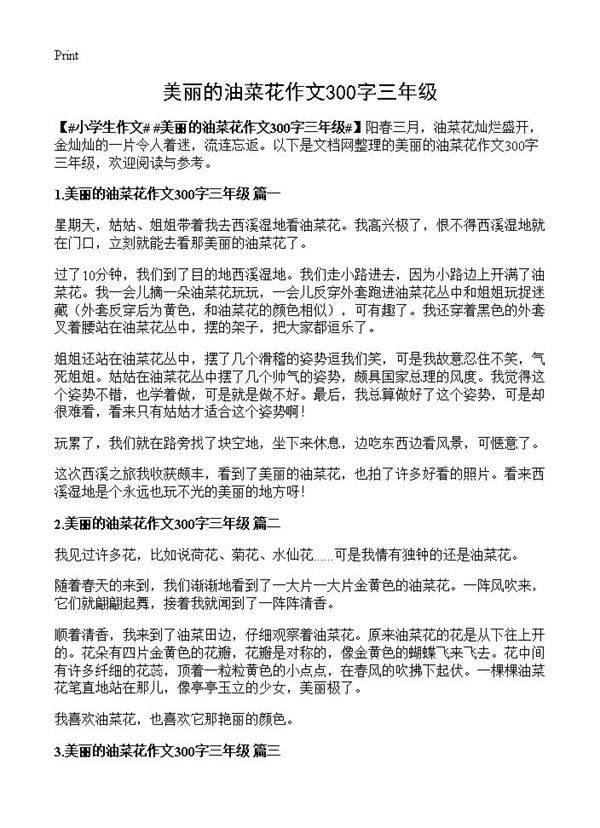 美丽的油菜花作文300字三年级