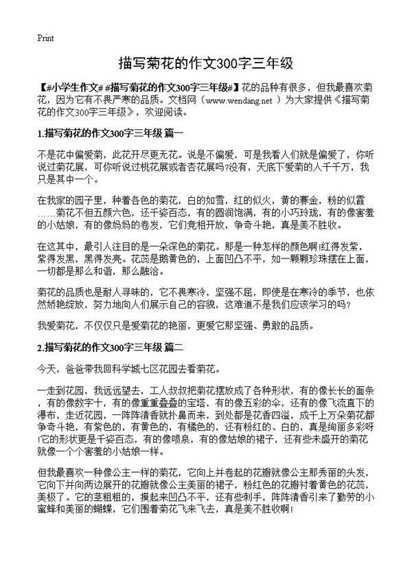 描写菊花的作文300字三年级