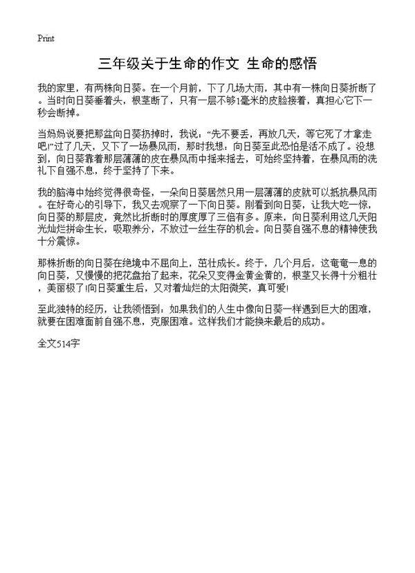 三年级关于生命的作文 生命的感悟