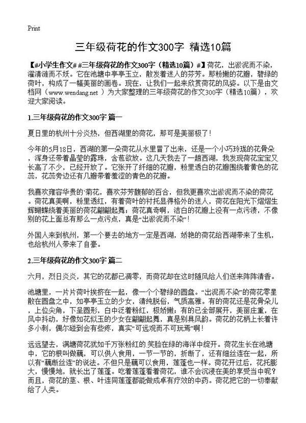 三年级荷花的作文300字10篇