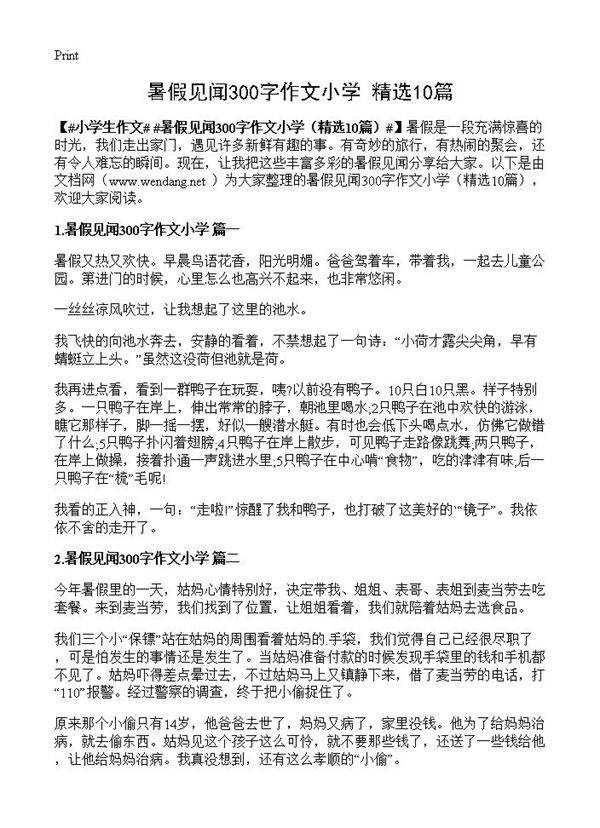 暑假见闻300字作文小学10篇