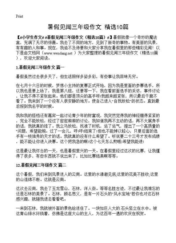 暑假见闻三年级作文10篇