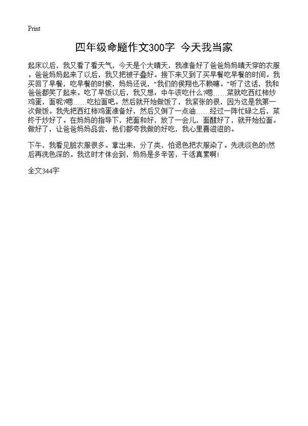 四年级命题作文300字 今天我当家