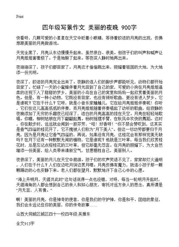 四年级写景作文 美丽的夜晚 900字