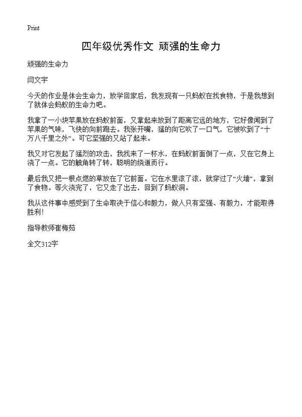 四年级优秀作文 顽强的生命力