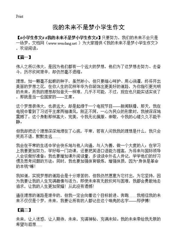 我的未来不是梦小学生作文