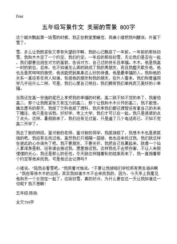 五年级写景作文 美丽的雪景 800字