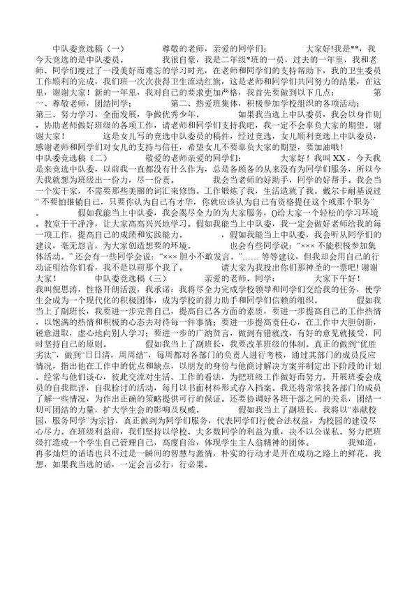 中队委竞选稿