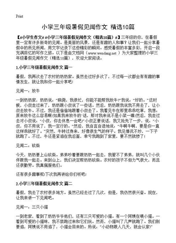 小学三年级暑假见闻作文10篇