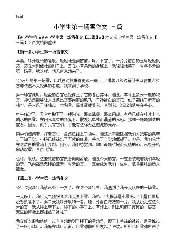 小学生第一场雪作文