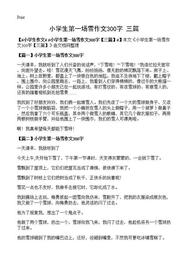 小学生第一场雪作文300字