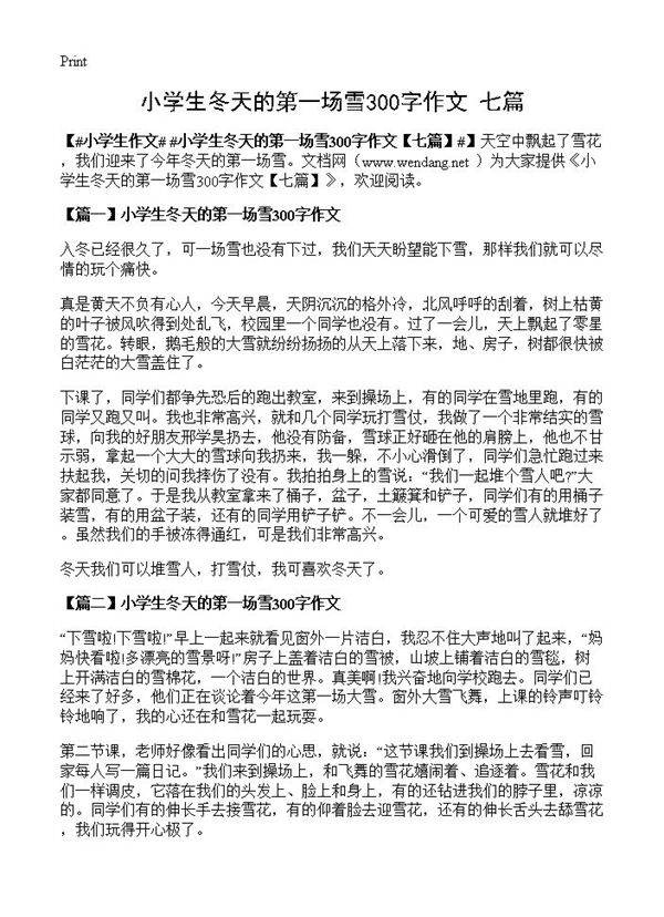 小学生冬天的第一场雪300字作文