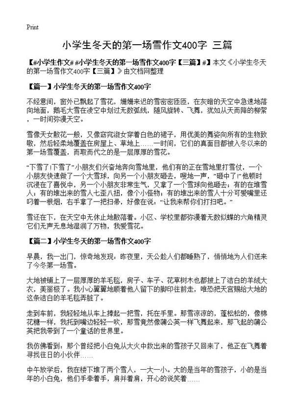 小学生冬天的第一场雪作文400字
