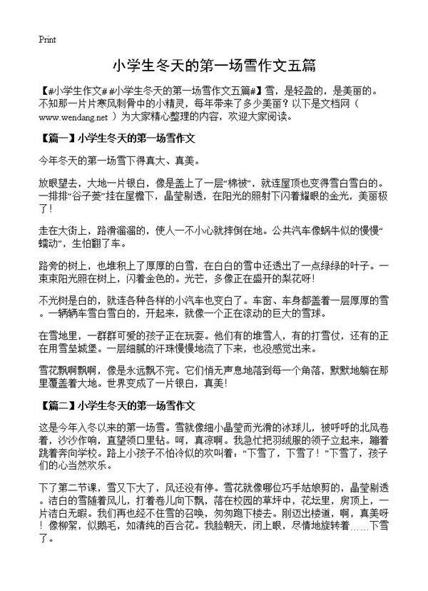 小学生冬天的第一场雪作文五篇