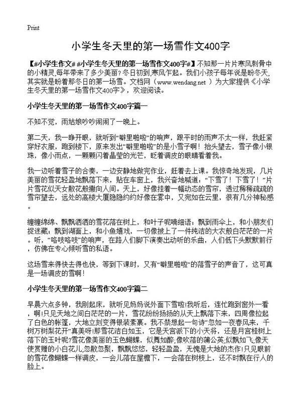 小学生冬天里的第一场雪作文400字