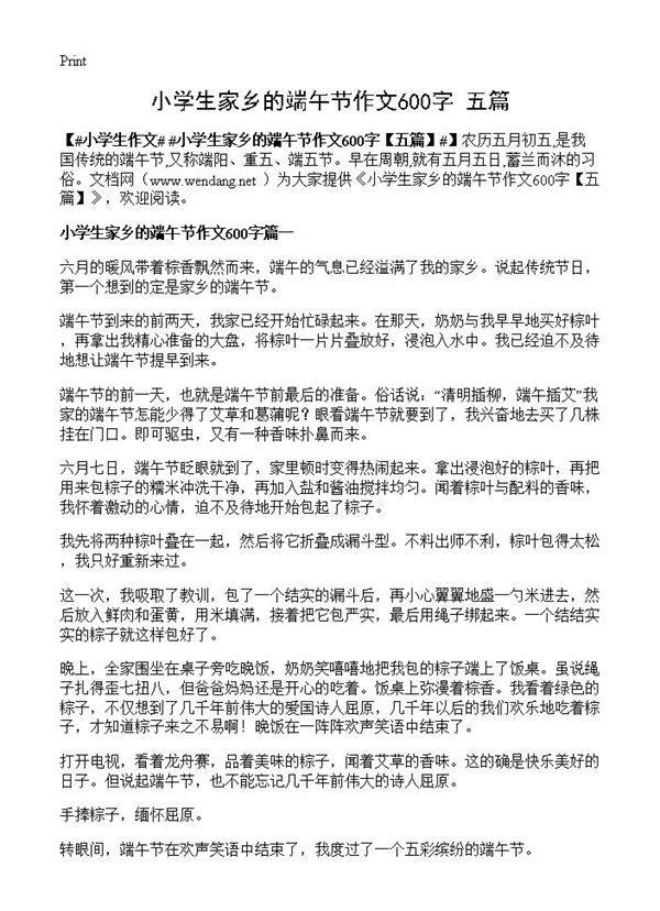 小学生家乡的端午节作文600字