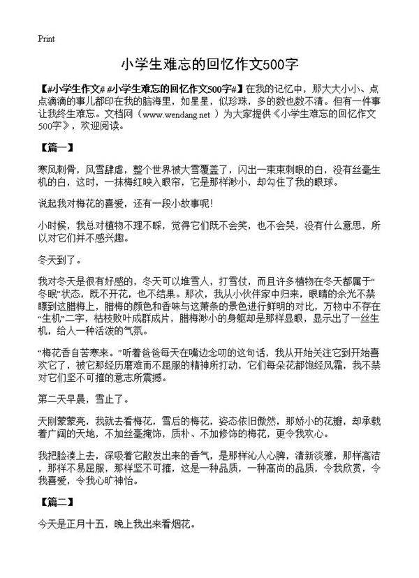 小学生难忘的回忆作文500字