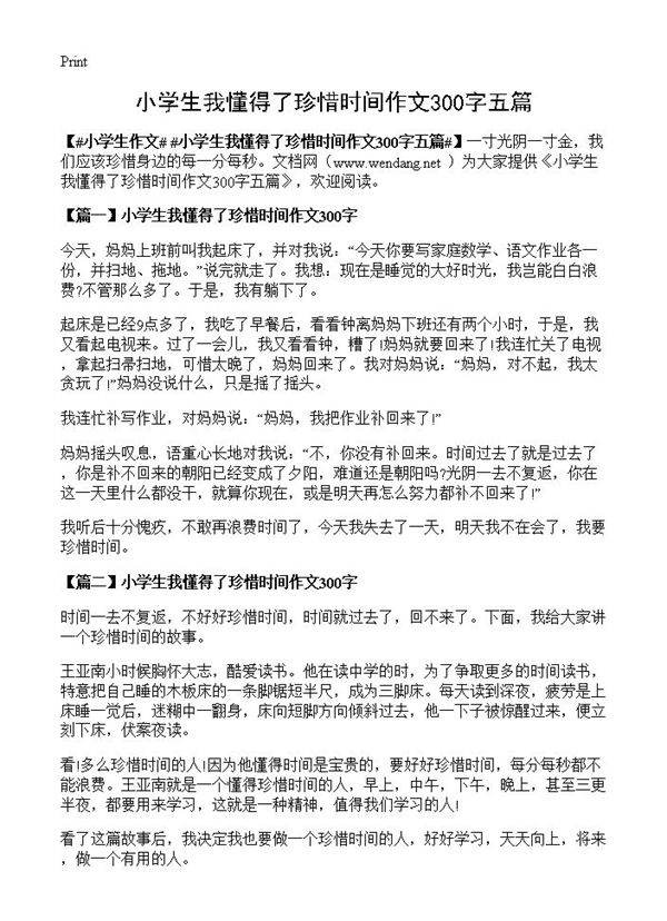 小学生我懂得了珍惜时间作文300字五篇